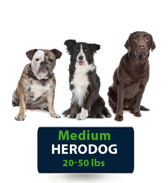 Med Herodog size