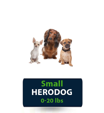 Small Herodog size